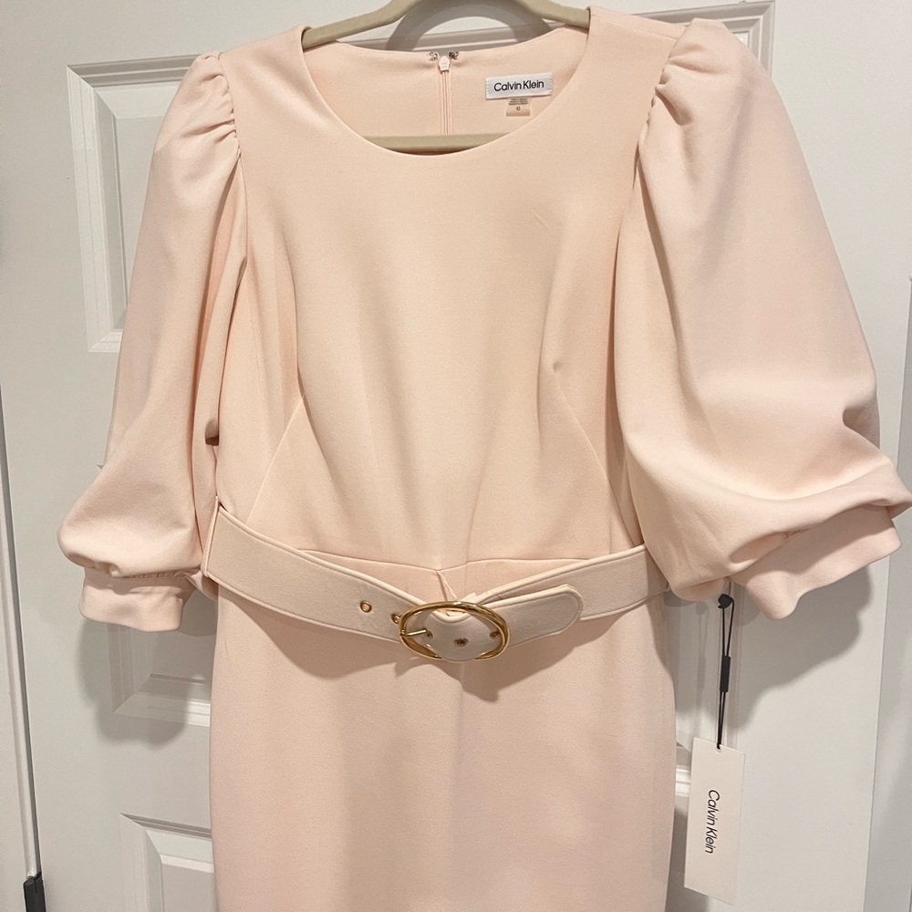 Calvin Klein Blush Long Sleeve Dress